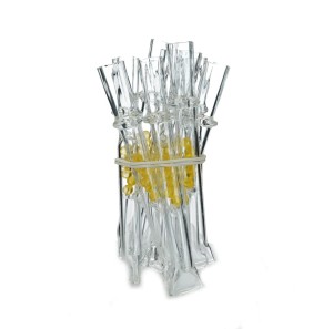 29081